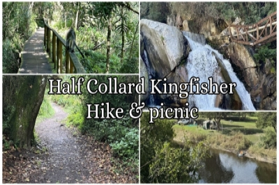 Half Collard Kingfisher Hike and Picnic