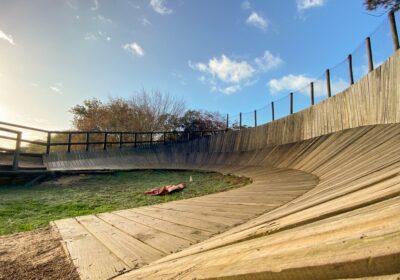 471052040_TheBikePark-11.b8c6a13f0a8969acfdb17b538beaa63e-1