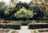 Company’s Gardens
