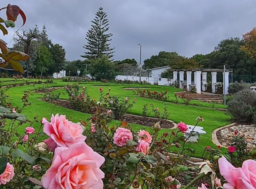 Durbanville Rose Garden