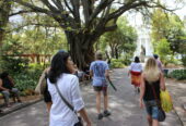 Discover the City on Foot: Free Walking Tours