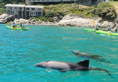 Kayak-CapeTown-10