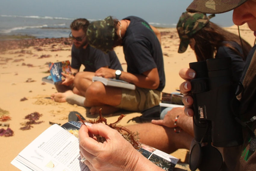 Ansell Expeditions – Explore The Coast