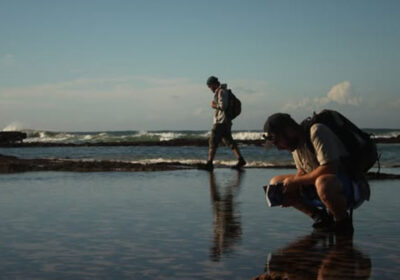 ansell-expeditions-coastal4