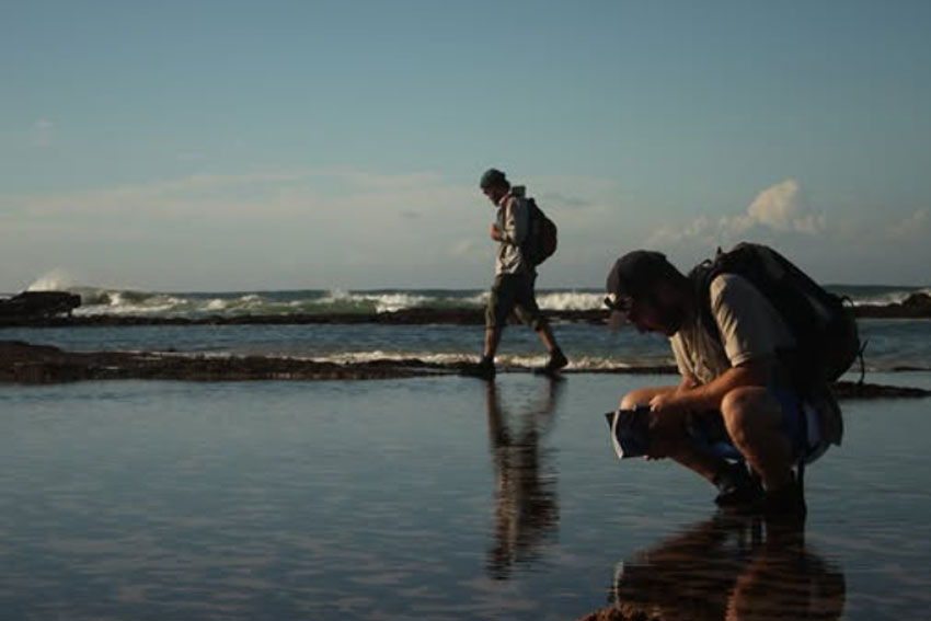 Ansell Expeditions – Explore The Coast