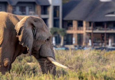 aquilla-game-reserve