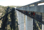 Bloukrans Bungee