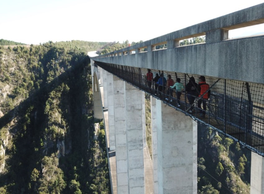 Bloukrans Bungee