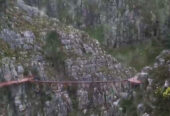 Cape Canopy Ziplining Tours
