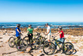 Cape Point Bike Tour