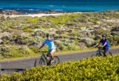 Cape Point Bike Tour