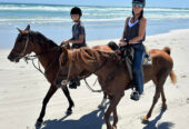 Cape Town Horse Riding Experiences