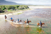 Cape Town Horse Riding Experiences