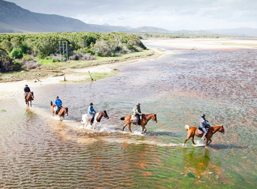 Cape Town Horse Riding Experiences