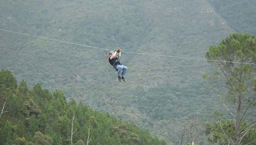 Cape Town Ziplines