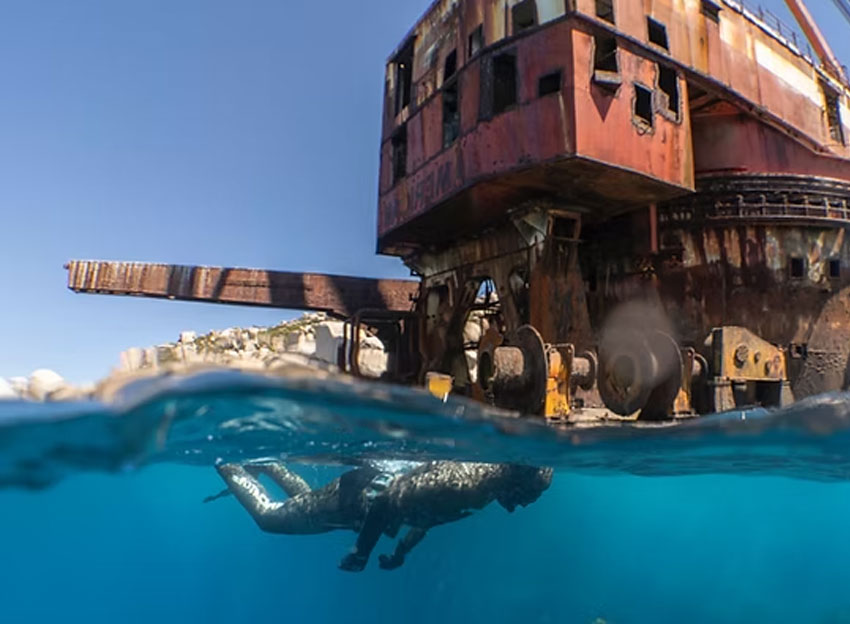 Animal Ocean Safari