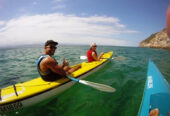 Dolphin Adventures Sea Kayaking