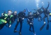 Shark Warrior Adventures