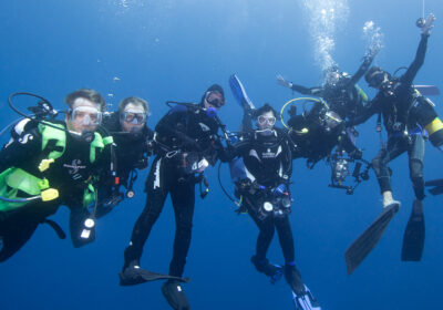 shark-warrior-centre-diving