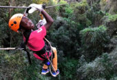 Stormsriver Adventures – Ziplining
