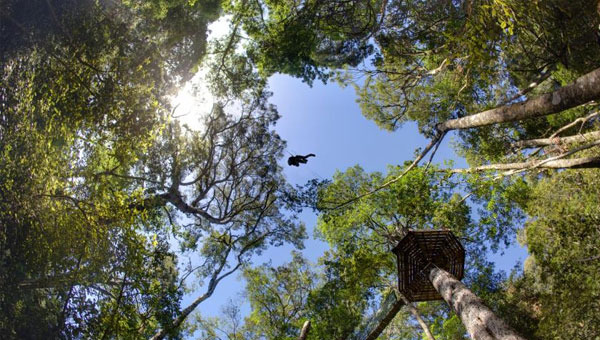 Stormsriver Adventures – Ziplining
