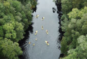 Canyon Tubing Adventure