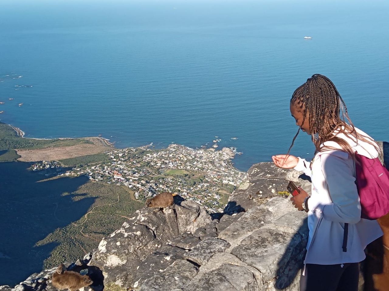 Table Mountain Hiking Tour