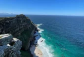 Penguin Paradise: Cape Peninsula Tour