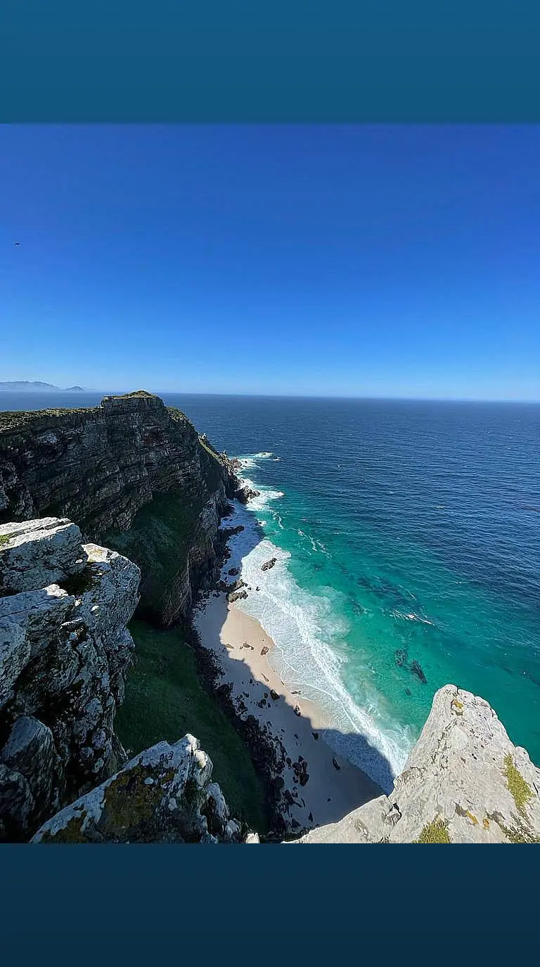 Penguin Paradise: Cape Peninsula Tour