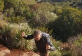 Table Mountain Hiking Tour