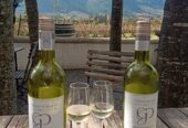Lola Tours – Cape Winelands Culture, Heritage & Wines