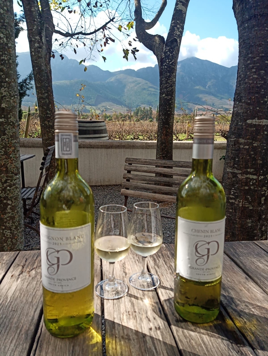 Lola Tours – Cape Winelands Culture, Heritage & Wines